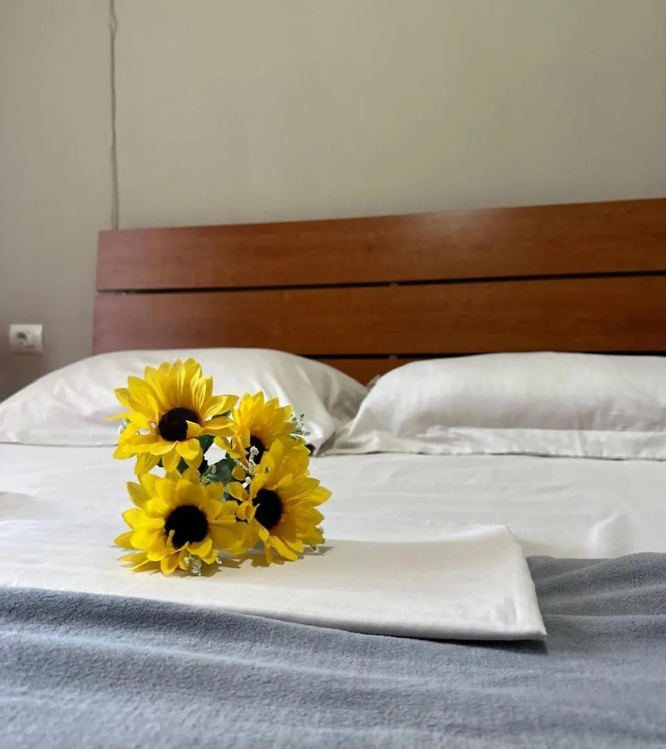 Apartment Turdiu Center Apart Tirana